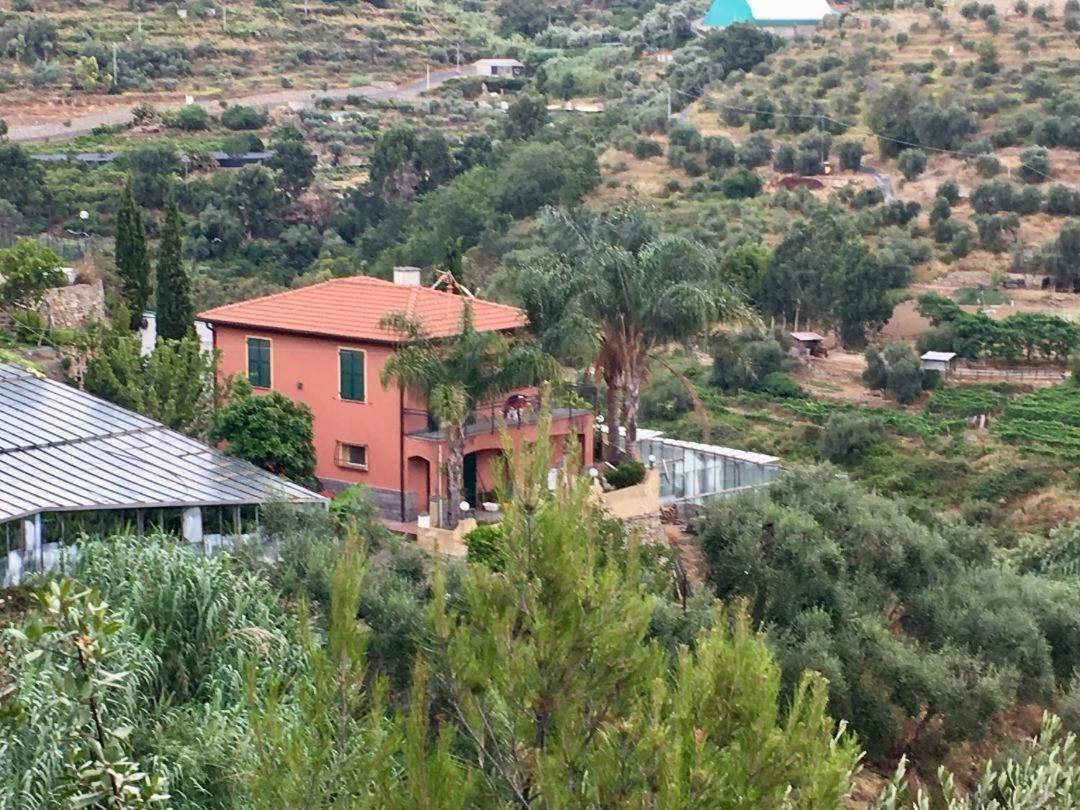 La Casa Del Podere Castellaro  Buitenkant foto